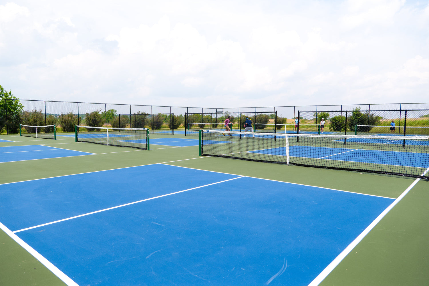 Pickle Ball